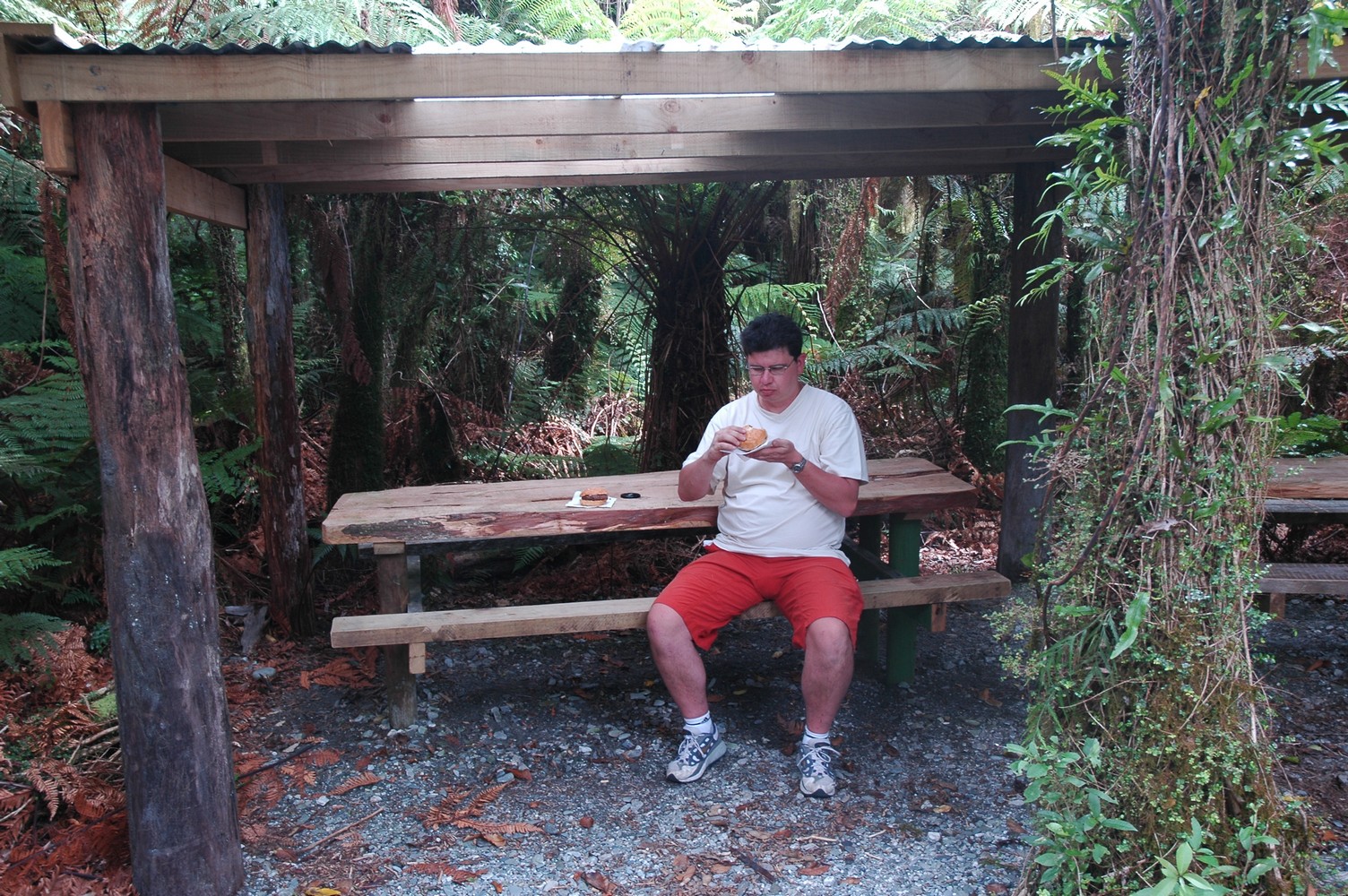 088   24 01   Greymouth   Fox Glacier